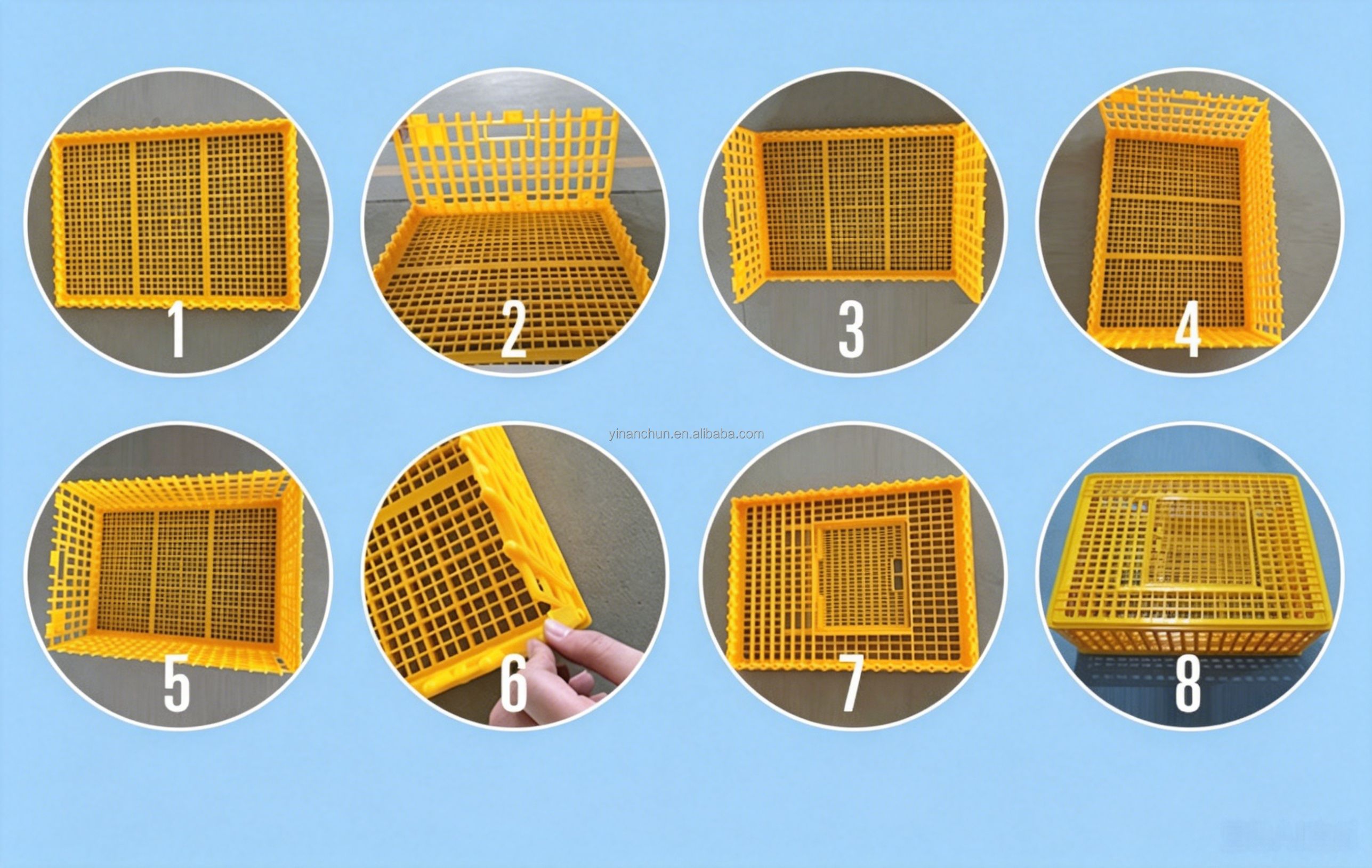Feature Image 5
