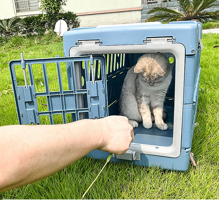 Plastic Folding Pet Portable Travel Cage with Airline Approved Kennel for Cat