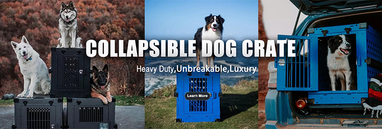 Wholesale XXL Blue Aluminum Collapsible Dog Crate