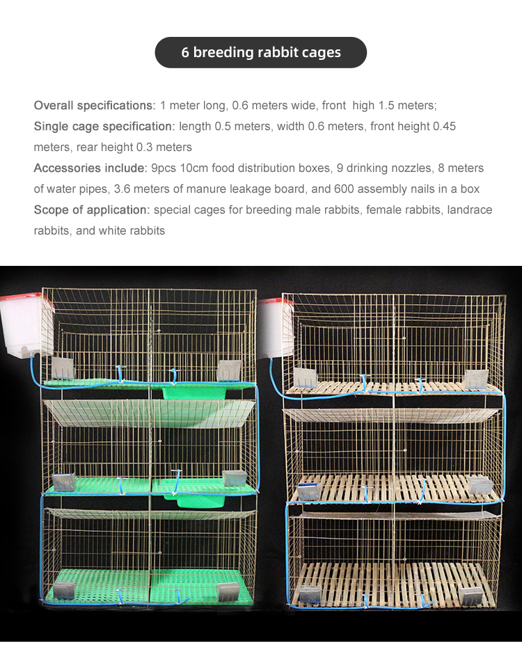 Rabbit Cage View 6