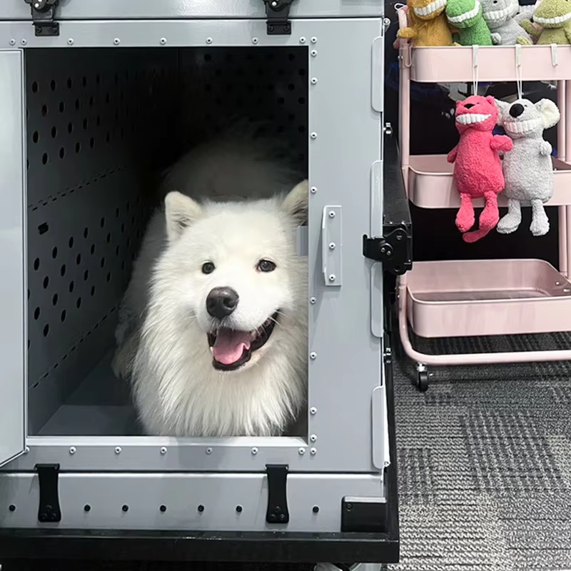 Secure Lock Aluminum Dog Crate for Transport Breeding Training Double Door Foldable Pet Cage Ventilated Kennel