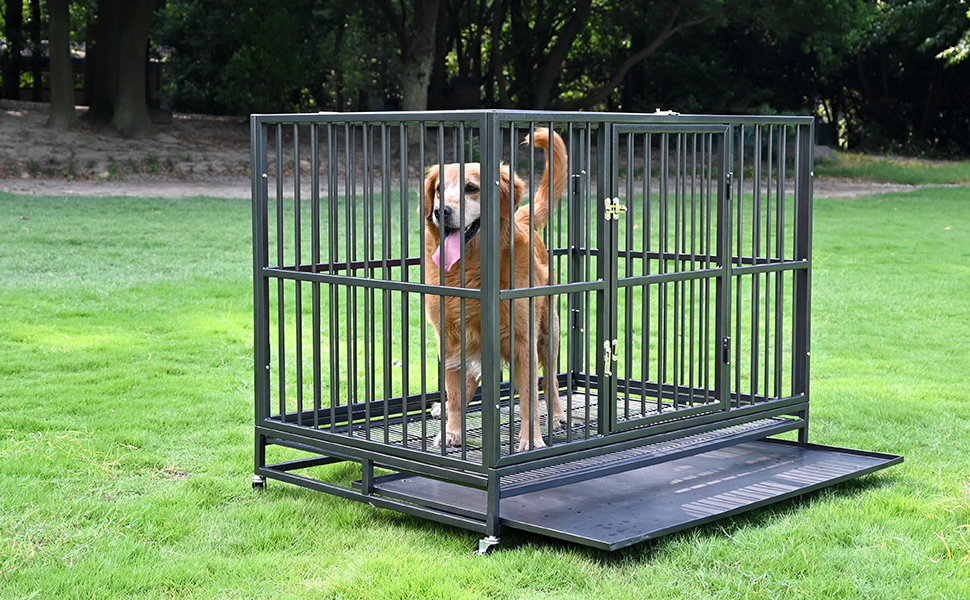 Wholesale Large Dog Bird/Parrot Crate 48/36/42 Inch Heavy Duty Stainless Steel Wood Indestructible Escape Proof Kennel Lockable