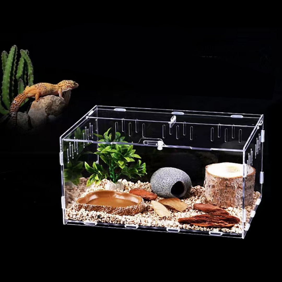 Plastic Acrylic Reptile Terrarium Breeding Box Turtle Wild Trap Holding Large Customized Size Durable Eco-Friendly Animal Pet
