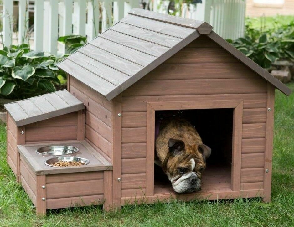 Dog Kennel Detail