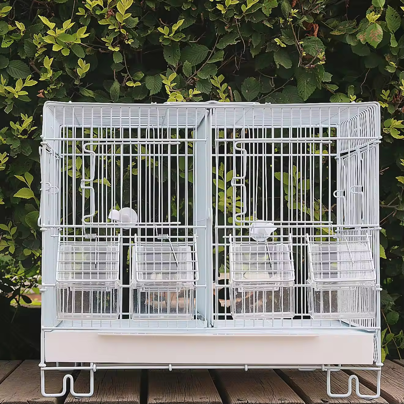 Luxury Parrot Bird Cage Display 3