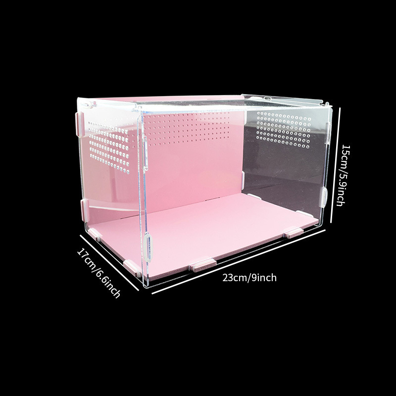 Product Detail 2