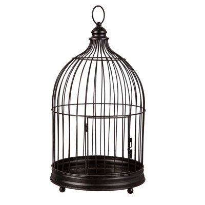 Bird Cage Design 1