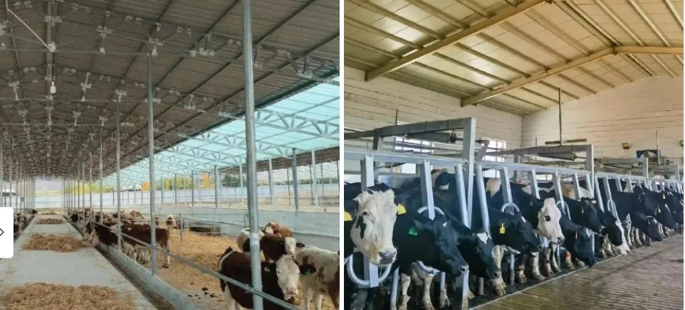 Detailed Photos of Steel Structure