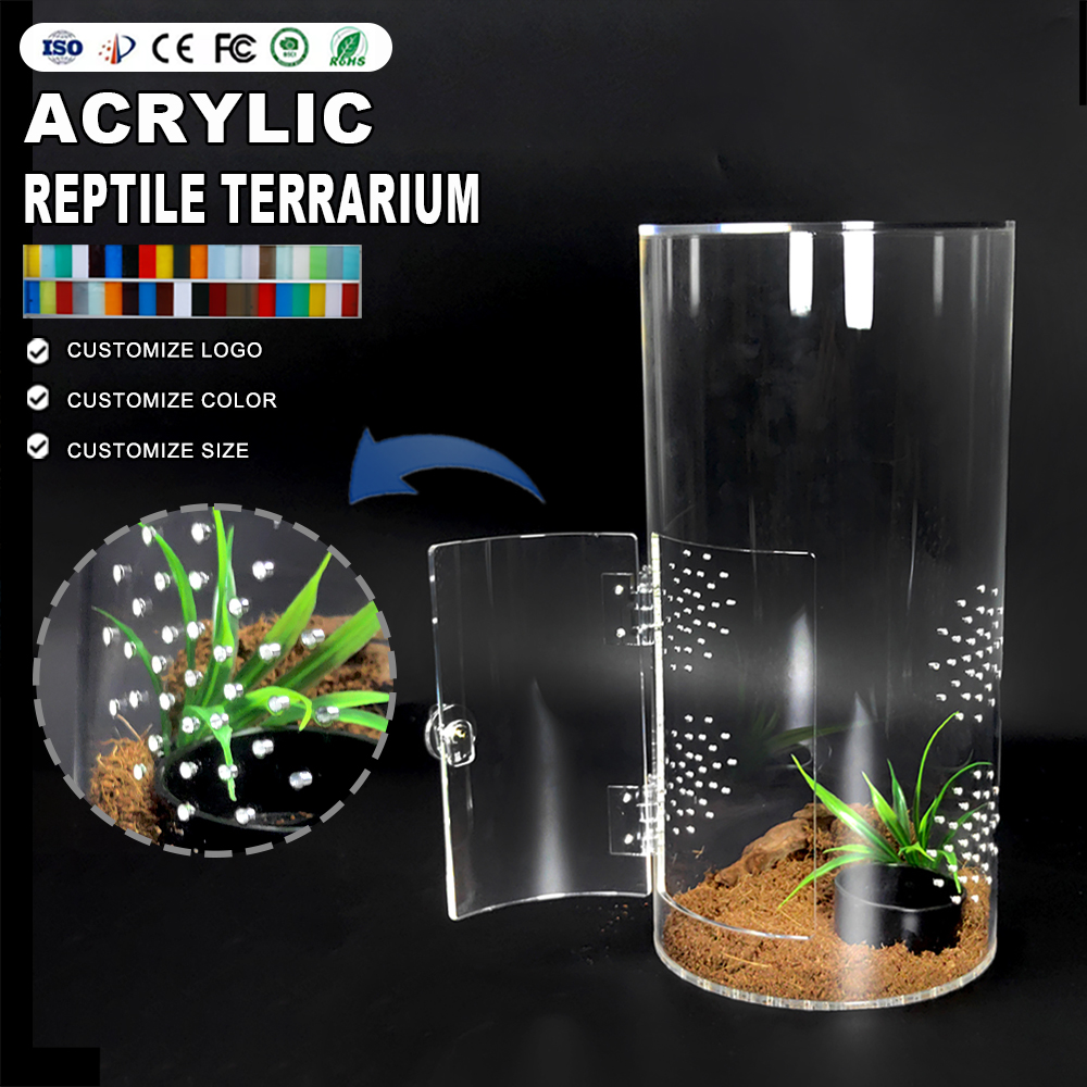 Acrylic Transparent Reptile Terrarium Mini Enclosure Cage for Tarantulas Display Racks for Displaying