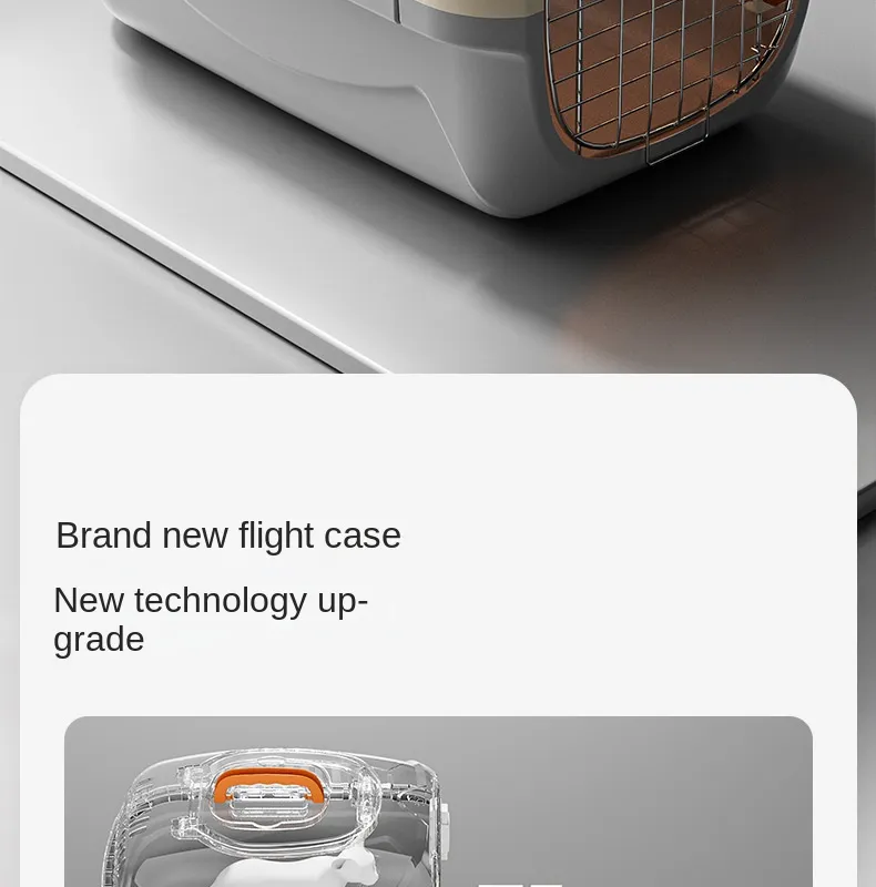 Airline-Approved PP Plastic Pet Transport Cage - Inside Details