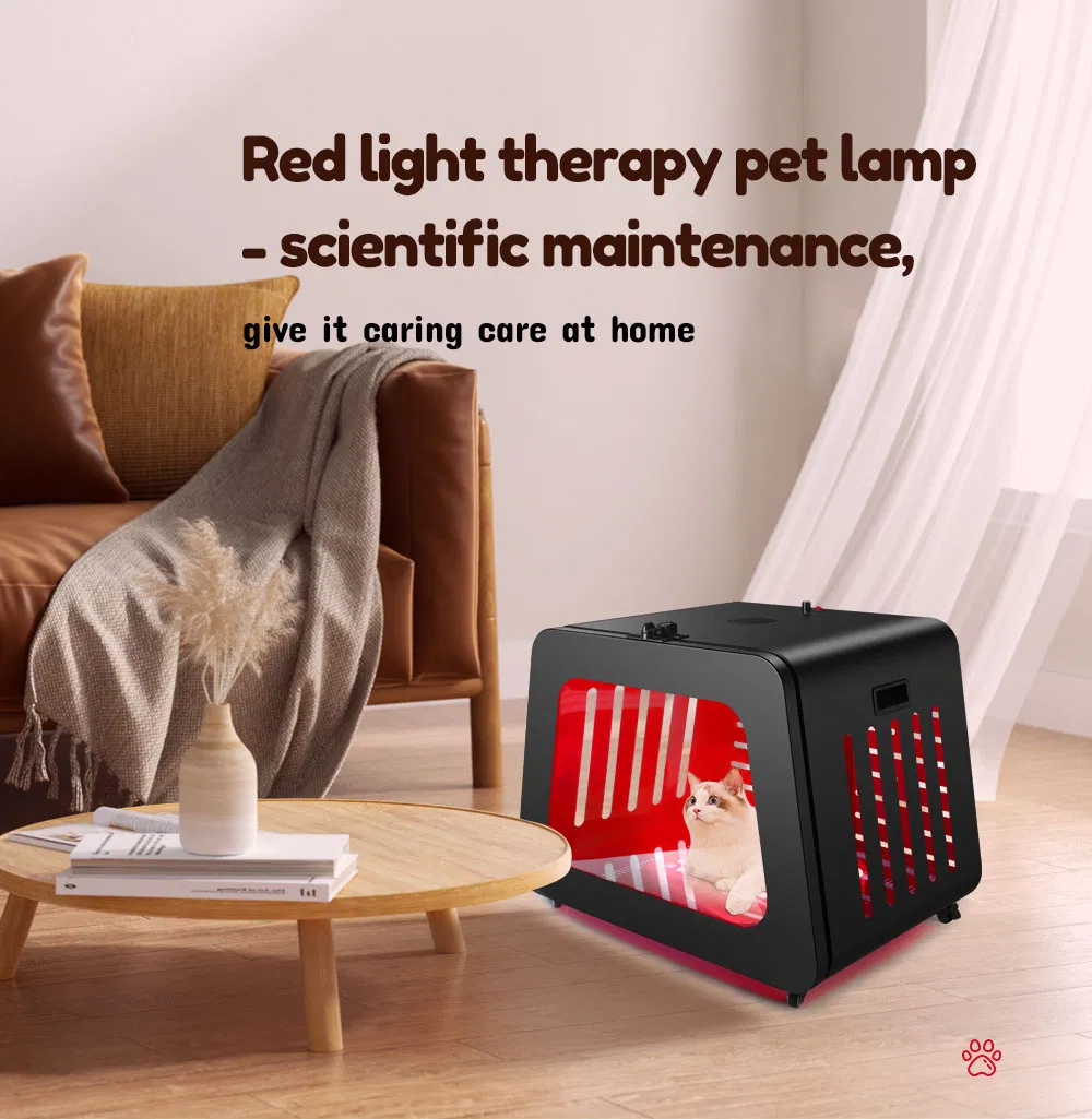Red Light Therapy Device Structure