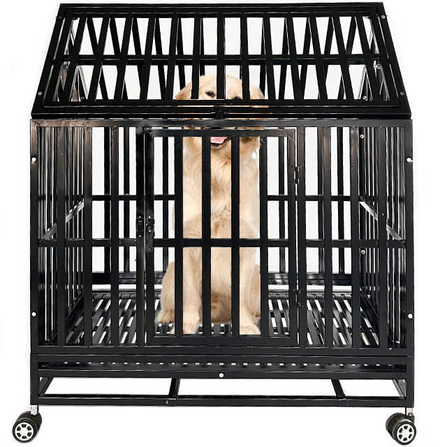 Foldable Metal Square Tube Cage View 1