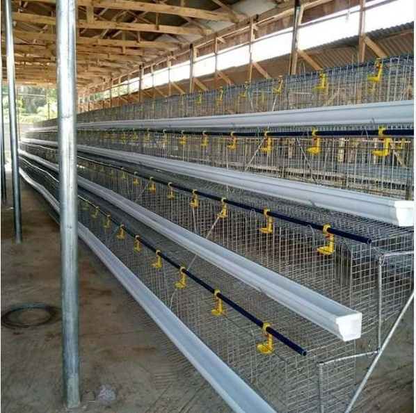 Related Product 1