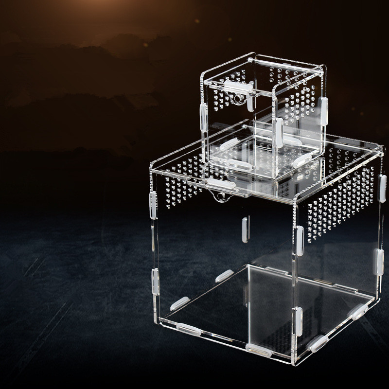 Transparent Acrylic Reptile Enclosure Small Reptile Pet Insect Feeding Box