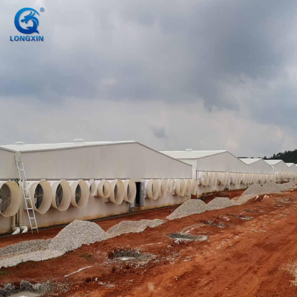 Steel Pig Barns Modular Housing Systems Quick-Install Poultry Farm Buildings Lightweight Structure