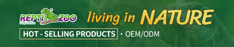 Product Specification