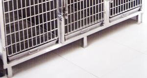 With leg platform