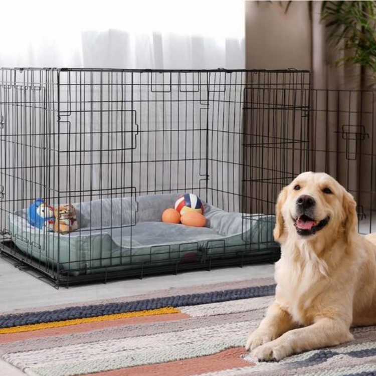Heavy Duty Pet Dog Enclosure Large Outdoor Pet Enclosure Dog Kennel Portable Indoor Metal Dog Cage Fences