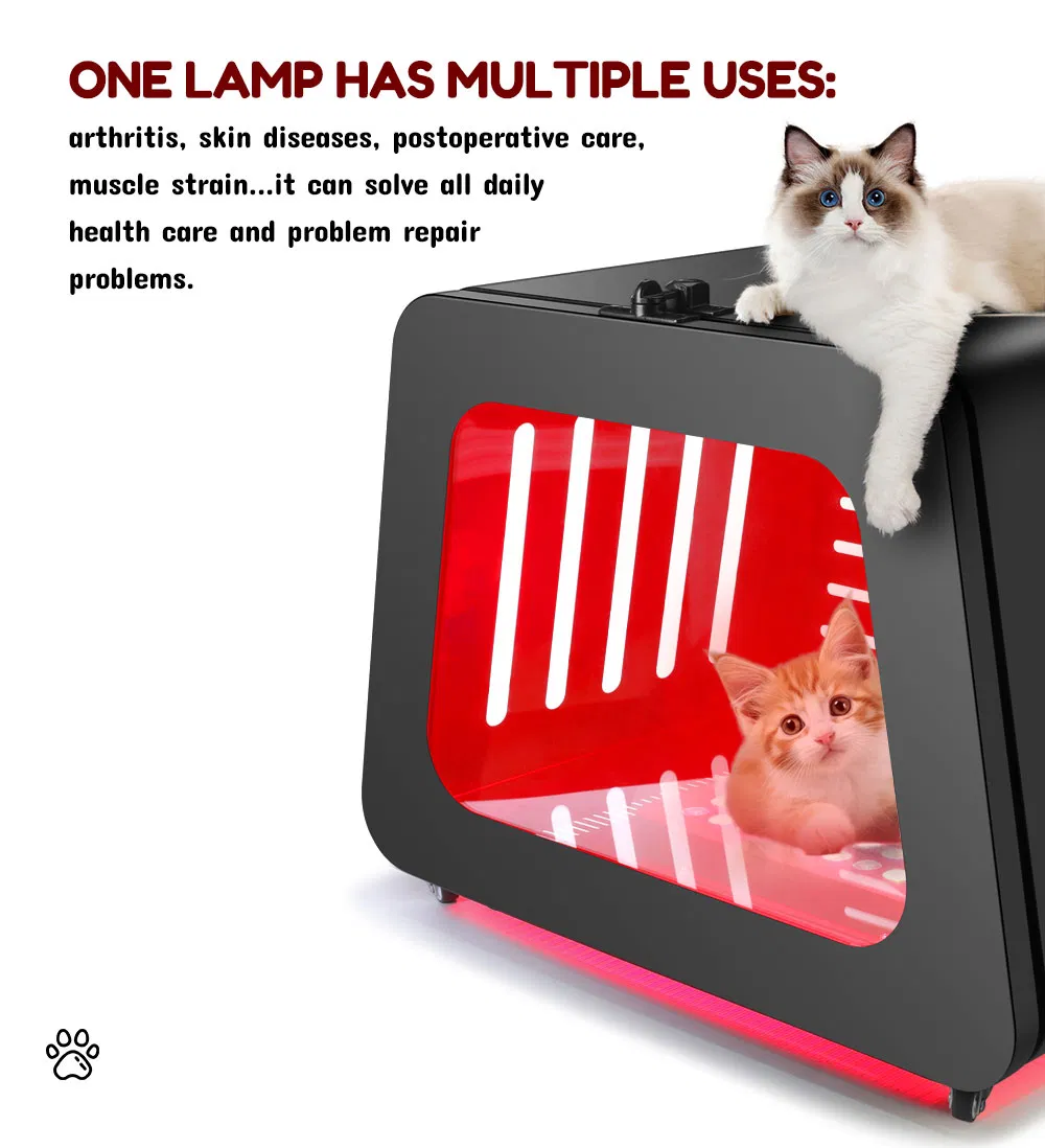 Pet Health Therapy Features