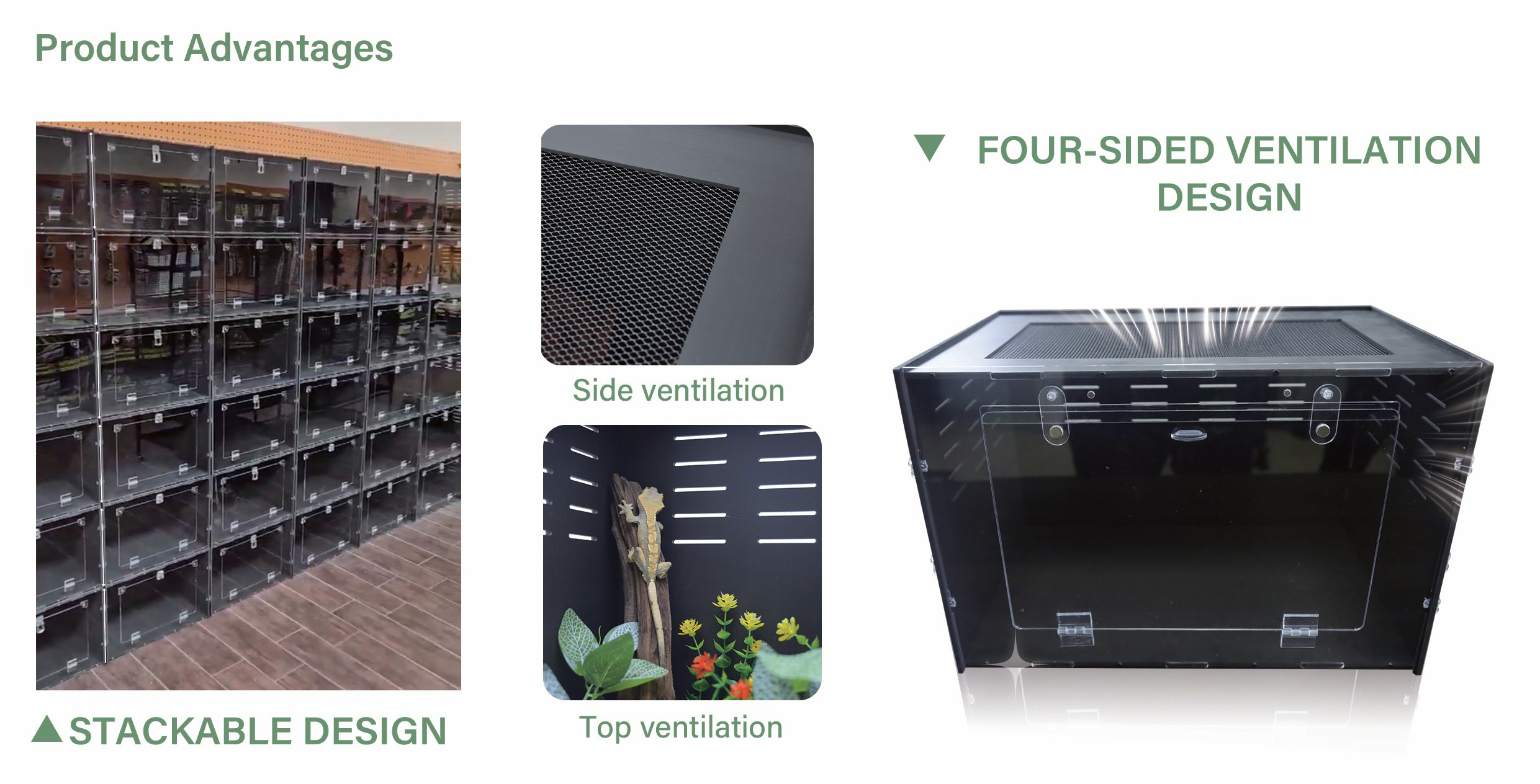 Product Details View 2