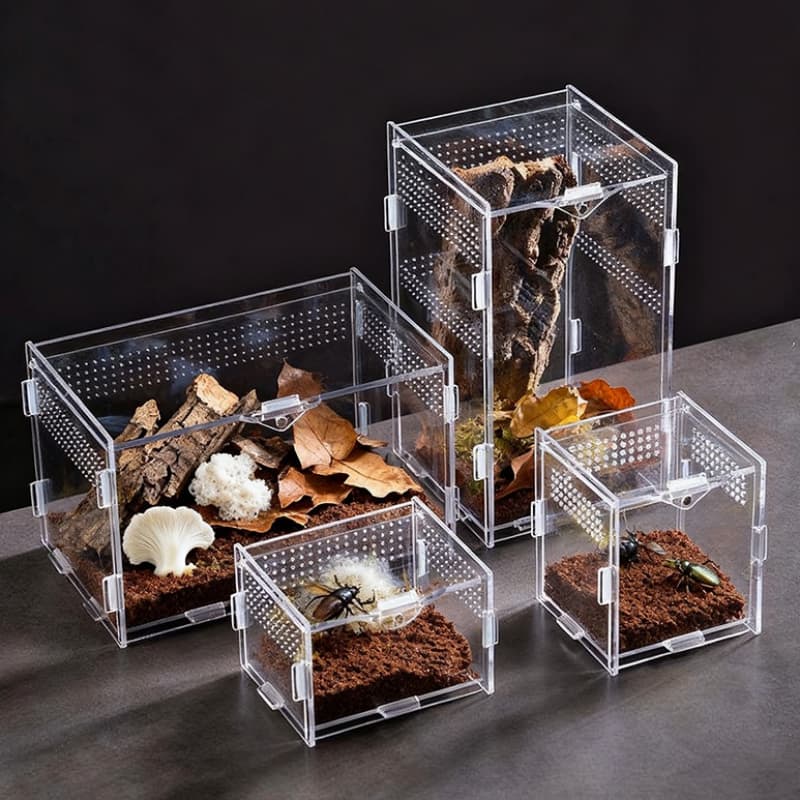 OEM ODM Clear Acrylic Reptile Breeding Box Custom Size Terrarium Enclosure For Spider Tarantula Lizard Gecko