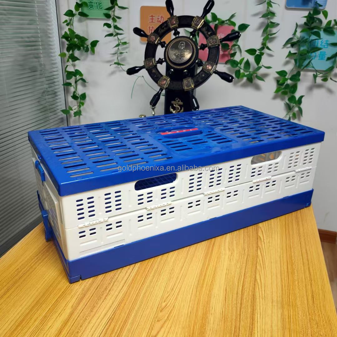 Product Color Option 1