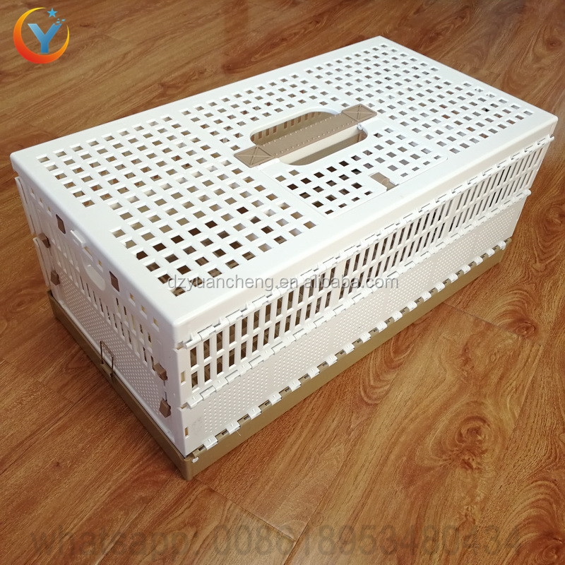 Pigeon transportation cage detailed view 2