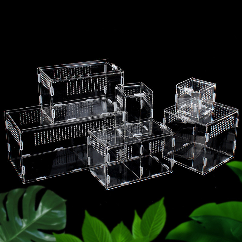 Transparent Acrylic Reptile Enclosure Small Reptile Pet Insect Feeding Box