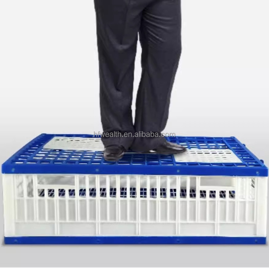 Portable Plastic Pigeon Transport Crate Foldable Pigeon Training Cage