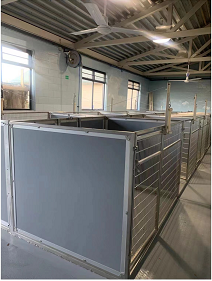 Small Breeding Kennel