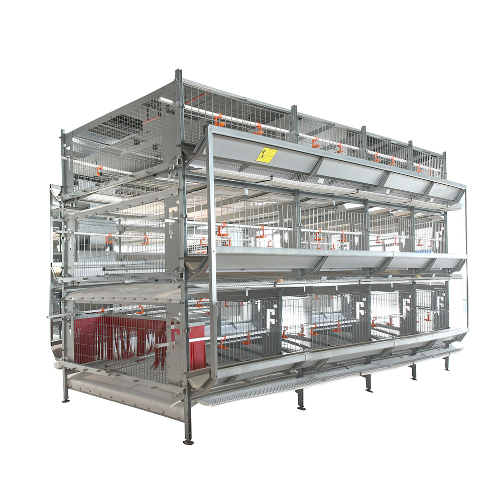 Commercial Chicken Breeder Cage Equipment With Large Bird Space And Aluminized Zinc Structure For Poultry Breeding Farms