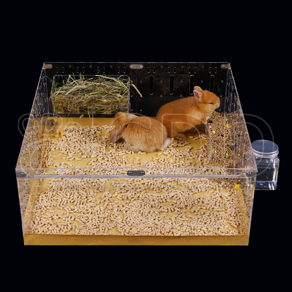 Acrylic Pet Enclosure Display 2