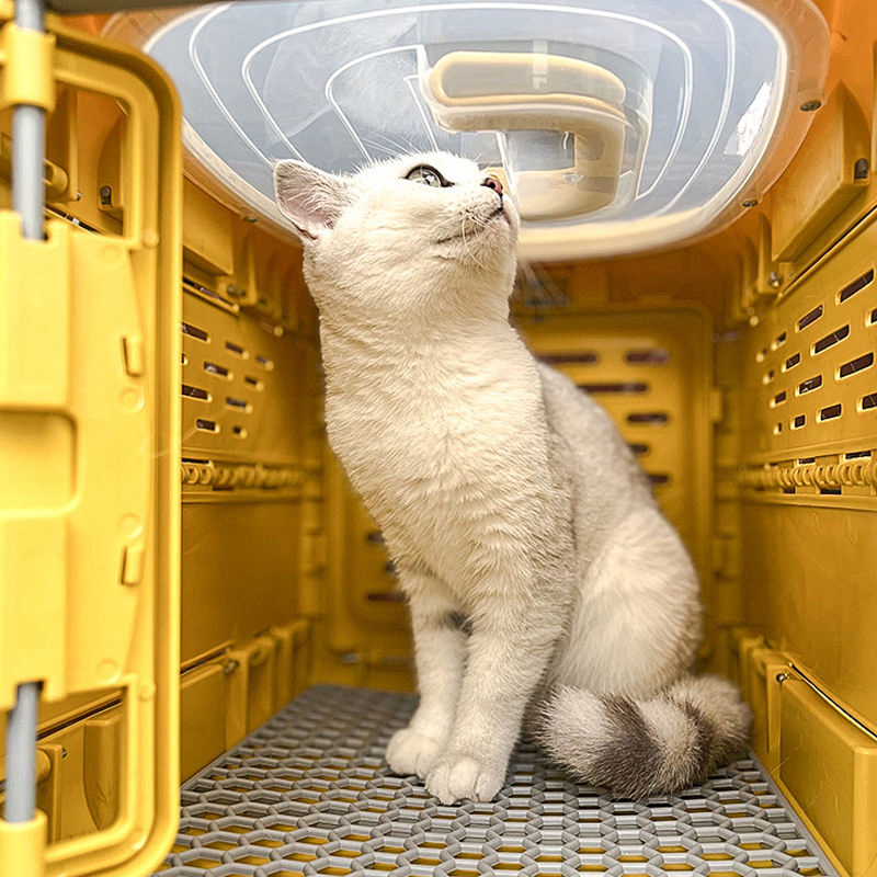 Plastic Folding Pet Portable Travel Cage with Airline Approved Kennel for Cat