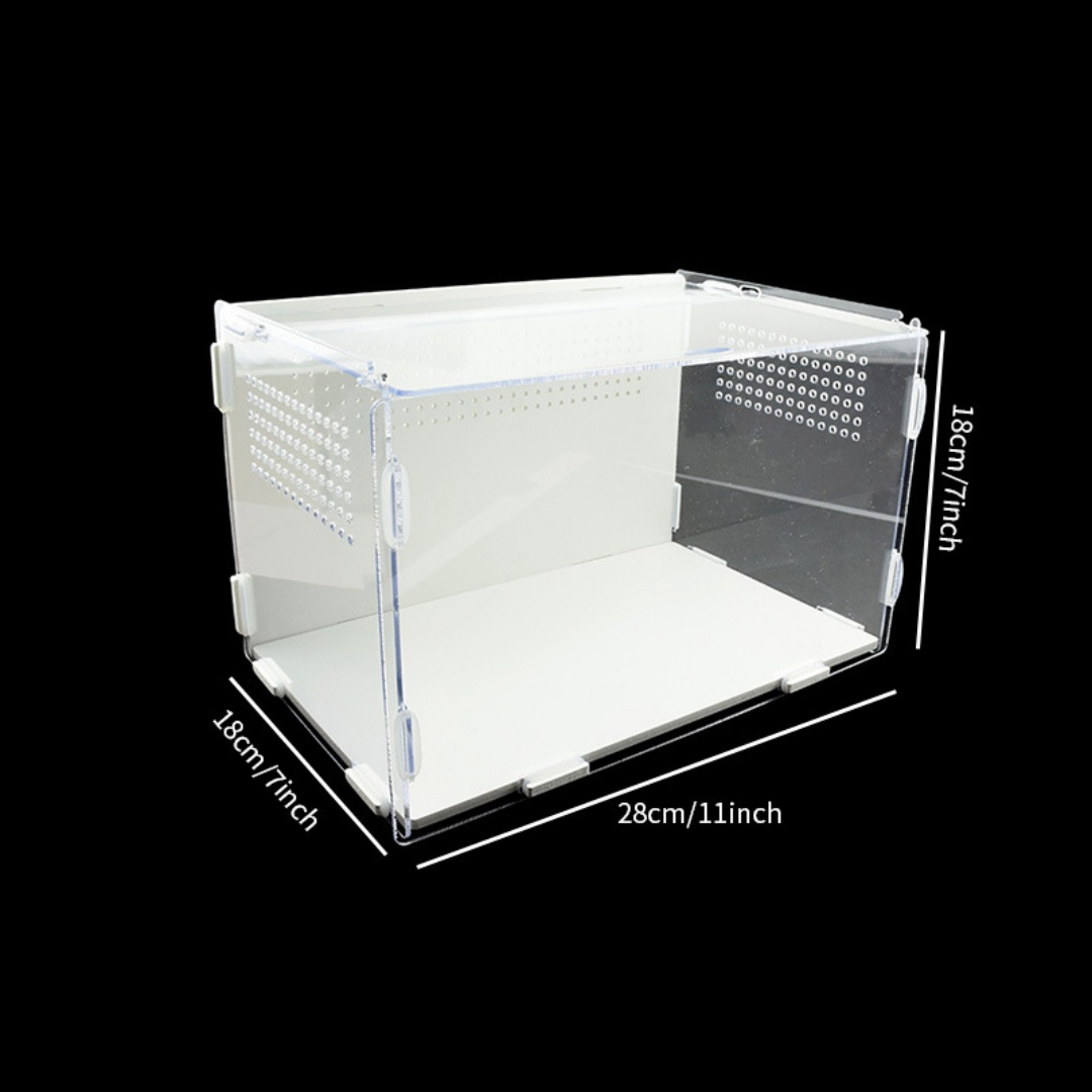 Plastic Acrylic Reptile Terrarium Breeding Box Turtle Wild Trap Holding Large Customized Size Durable Eco-Friendly Animal Pet