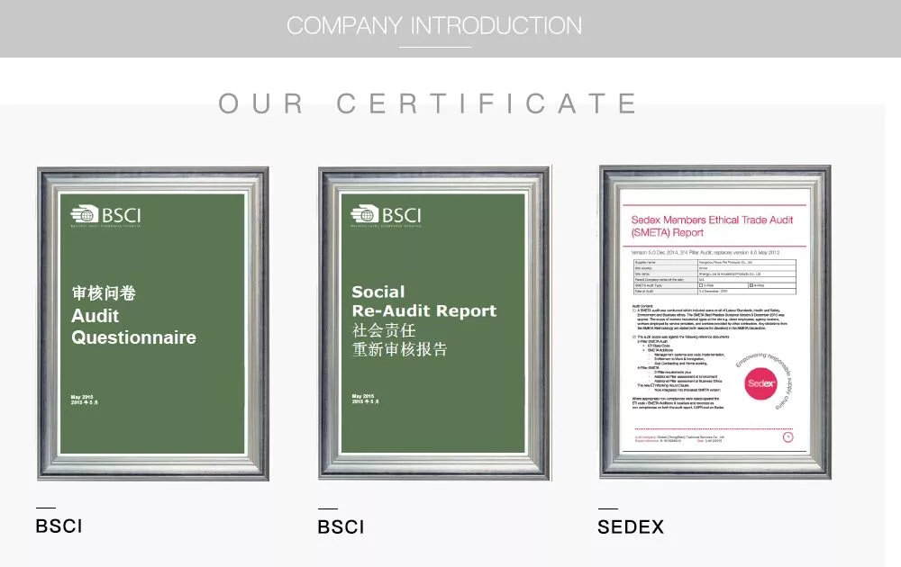 Main Certificate