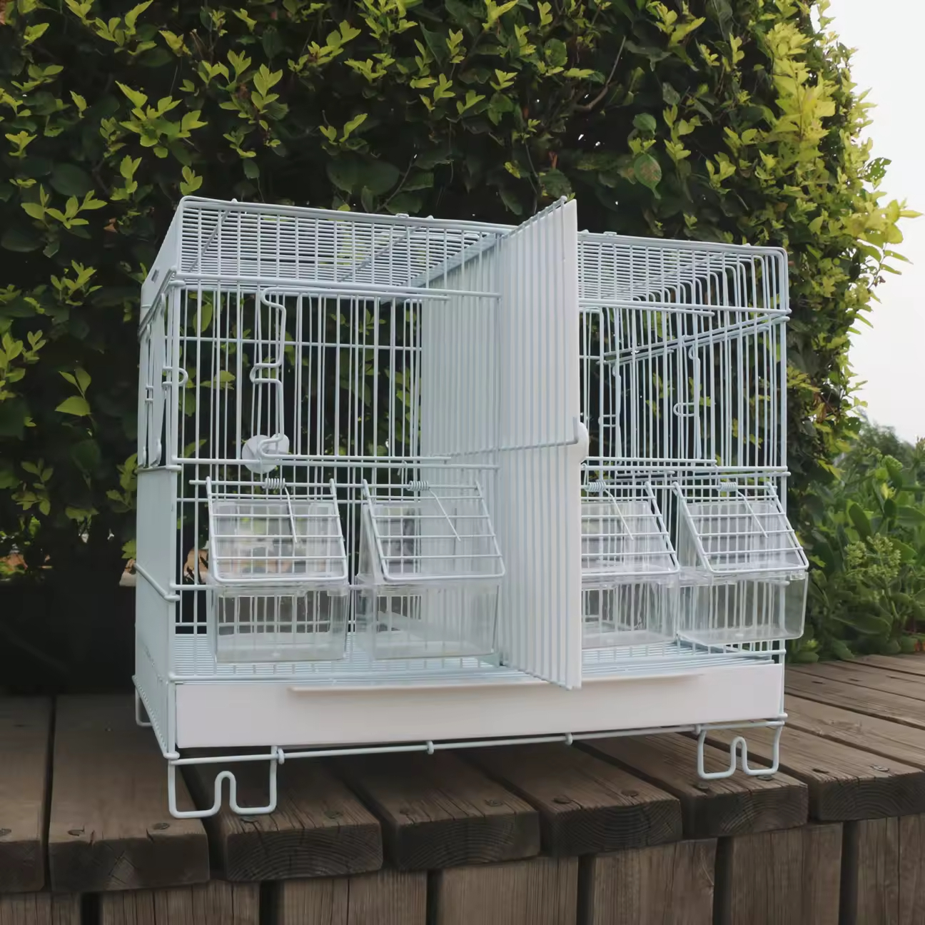 Luxury Parrot Bird Cage Display 2
