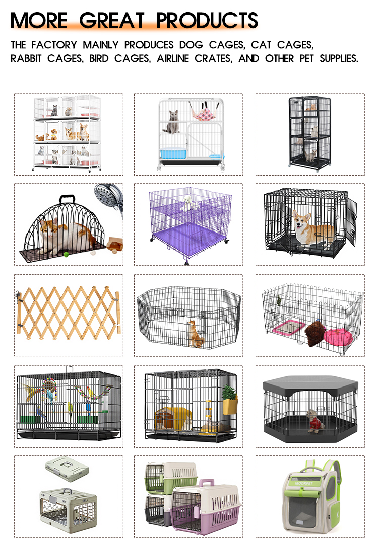Detailed cage setup 1