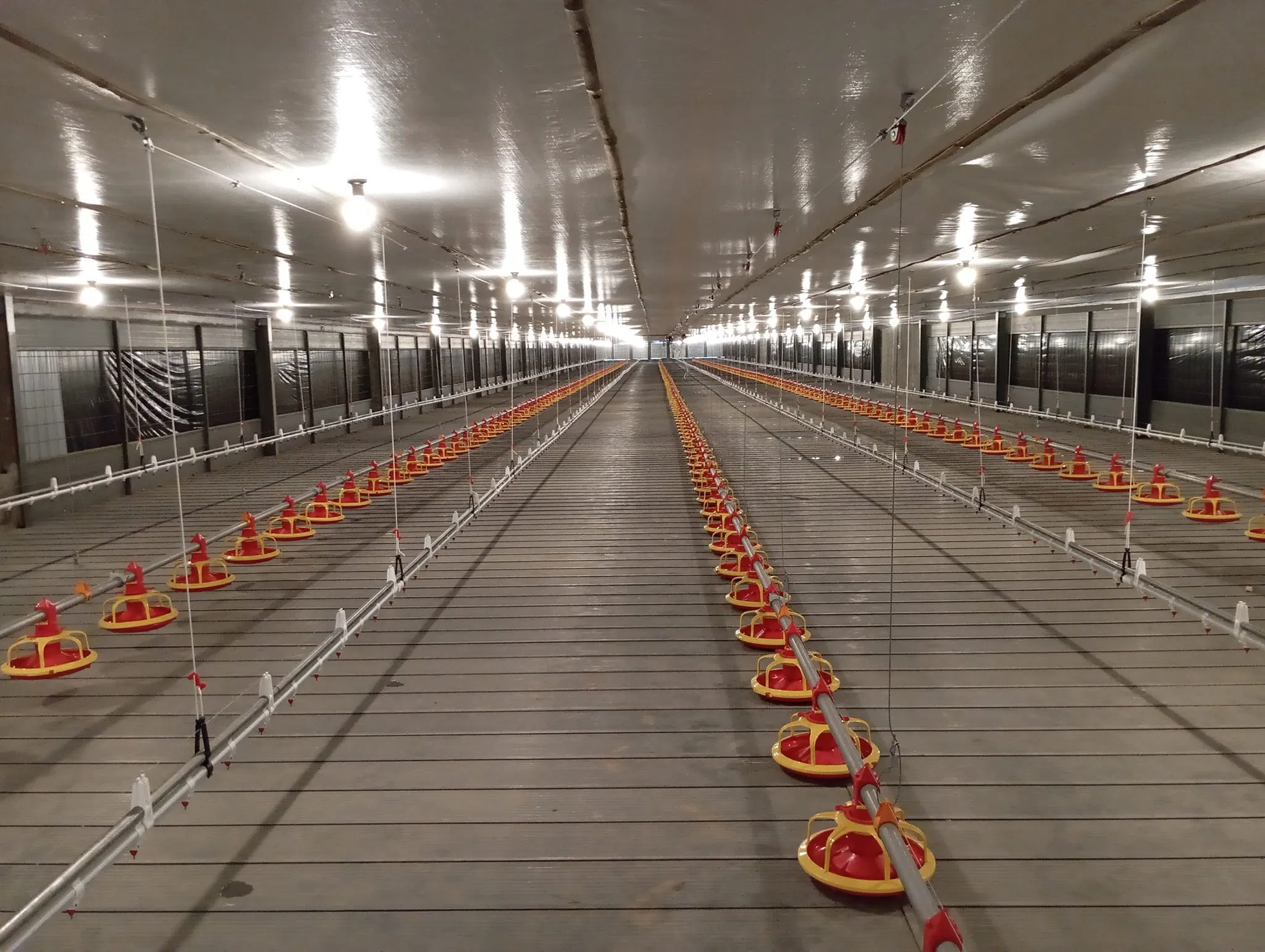 Provide Construction Plan Poultry Shed Farm Building Prefabricated Housing Steel Structure