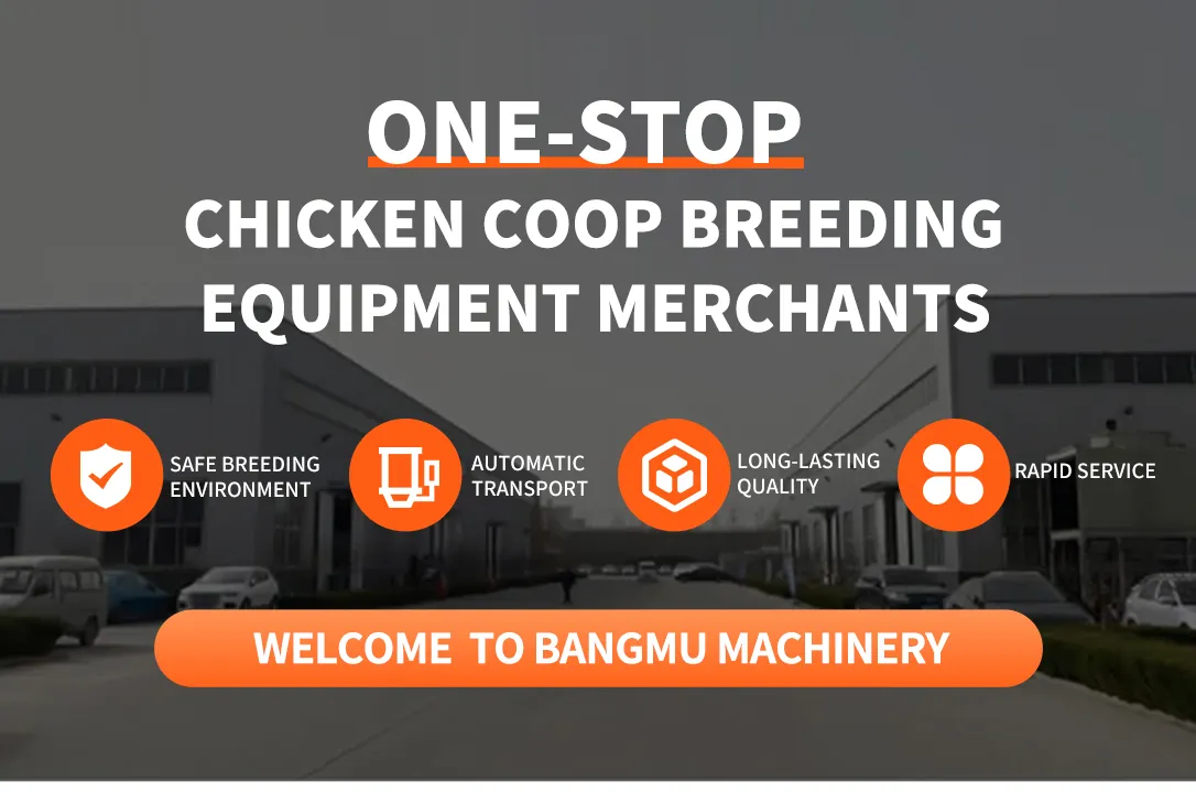 Expandable Modular Cage System for Industrial Poultry Farming H Type a Type Capacity Expansion Poultry Battery Farm Broiler Chicken Equipment/Coop/Cage