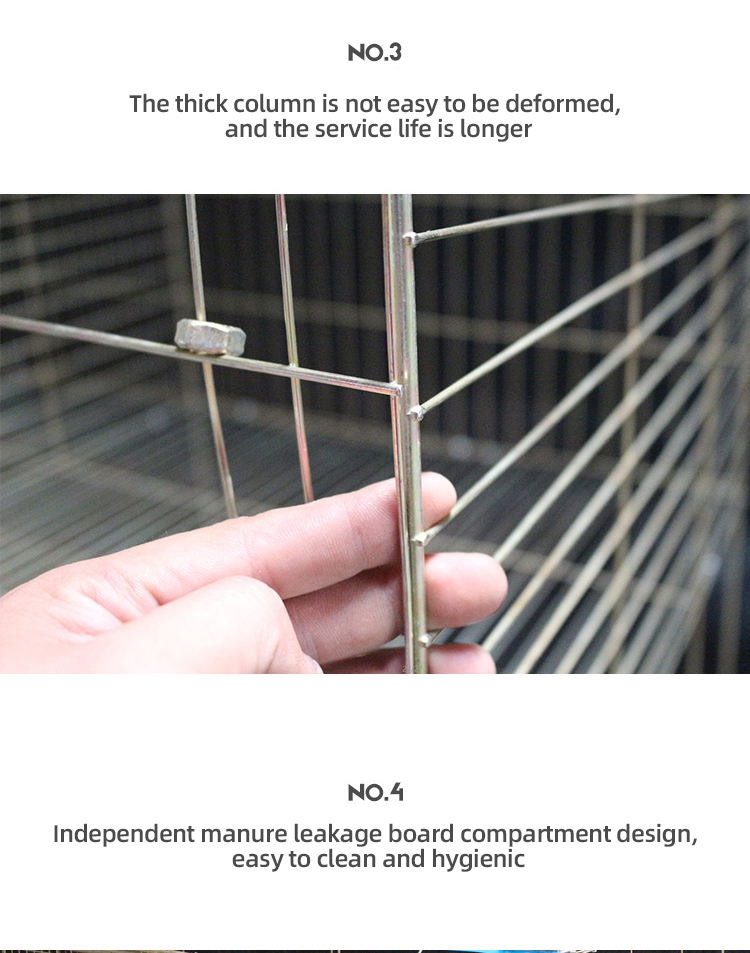 Rabbit Cage View 3