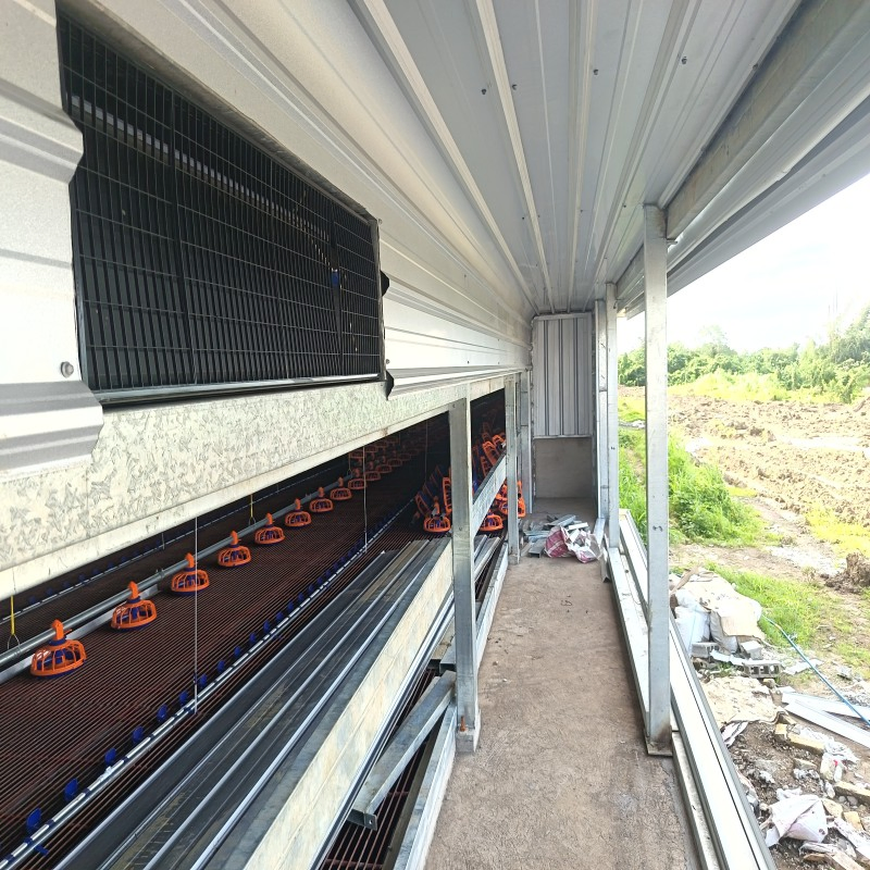 Affordable Prefabricated Chicken House with Efficient Cooling and Heating Systems
