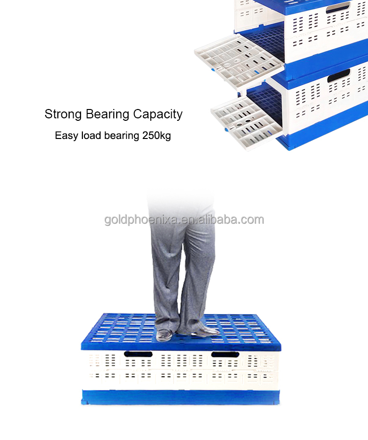 Plastic Flying Cage Product View 2