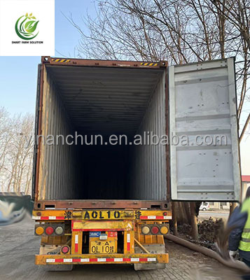 Container shipping loading 1
