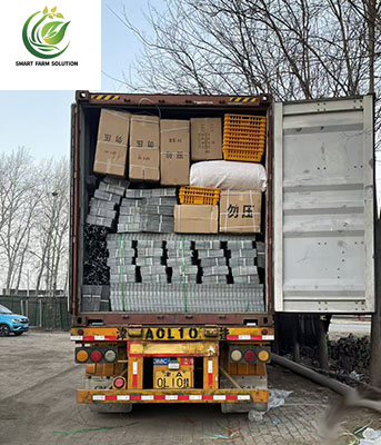 Container shipping loading 3