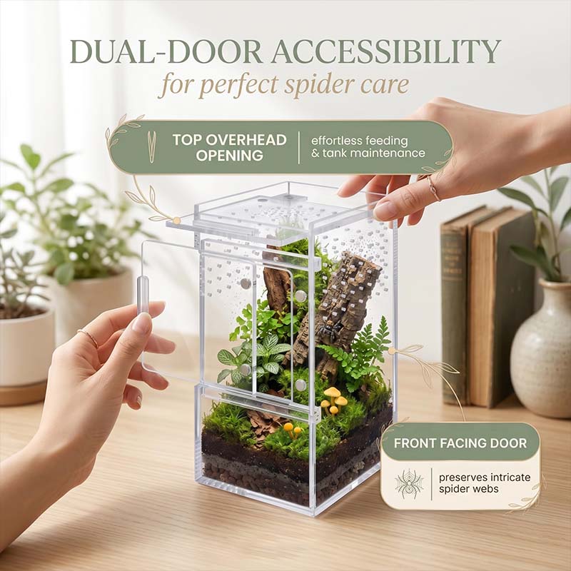 High End Transparent Acrylic Breeding Box With Top Opening Magnetic Door Precision Drilled Air Holes Luxury Vivarium