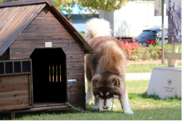 Luxury Modern All-Season Large Dog Shelter Rainproof Outdoor Wood Kennel Button Closure Solid Animal Design Dog House Cage OEM
