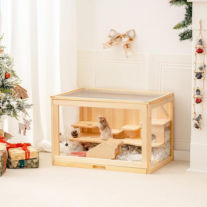 Main Showcase