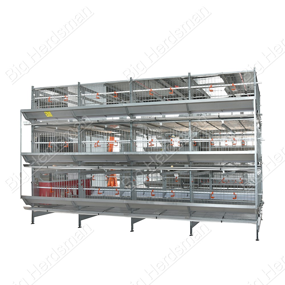 Poultry Breeder Cage System With Adjustable Three Level Water Line For Commercial Breeding Operations