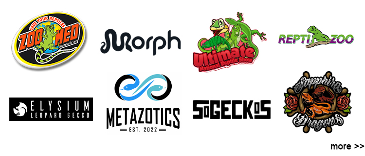 Our Partners
