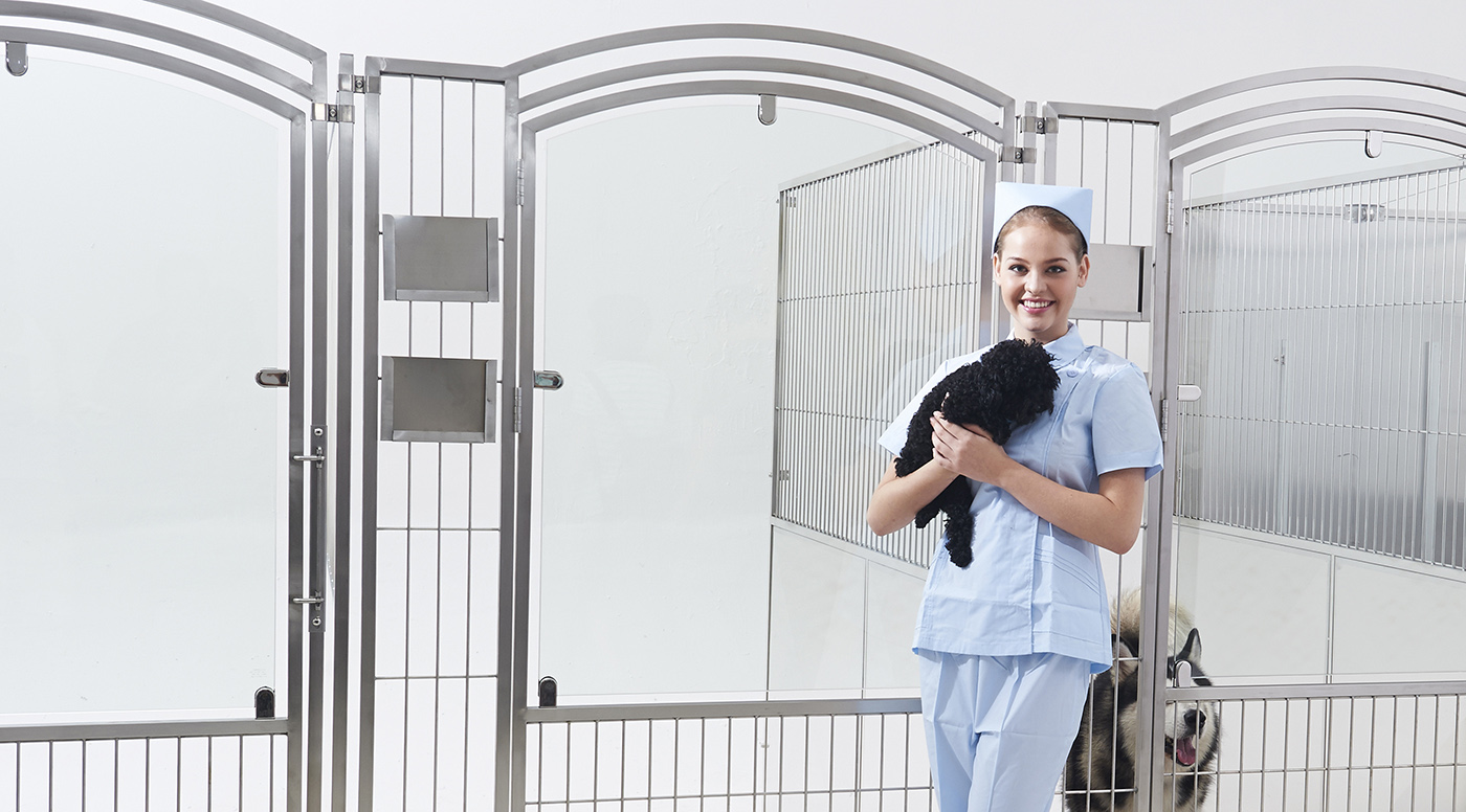 Walk-in Kennel System
